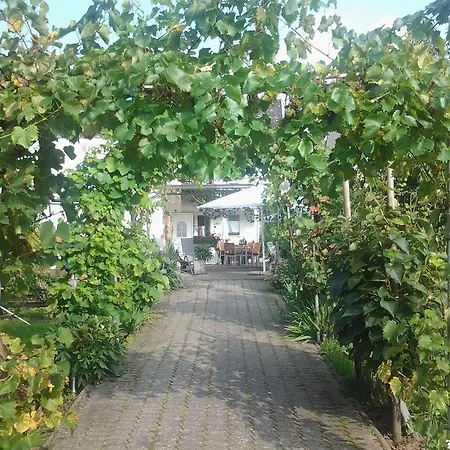 Ferienweingut Arnold Thiesen Homestay