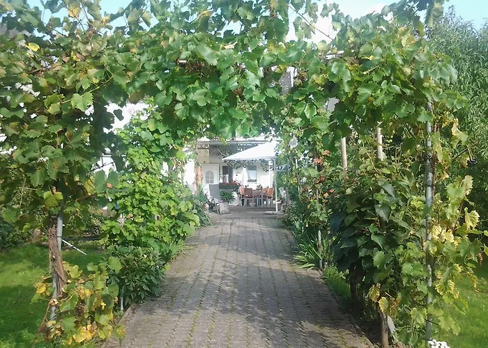 Ferienweingut Arnold Thiesen Privat bolig